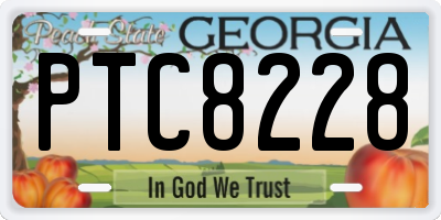 GA license plate PTC8228