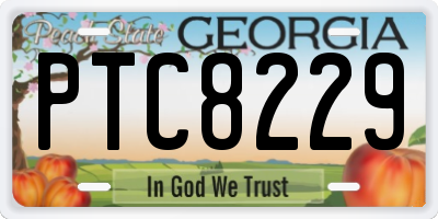 GA license plate PTC8229