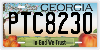 GA license plate PTC8230