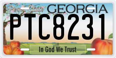 GA license plate PTC8231