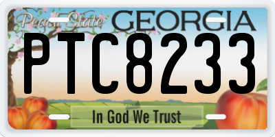 GA license plate PTC8233