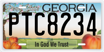 GA license plate PTC8234