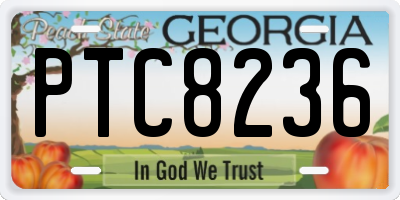 GA license plate PTC8236