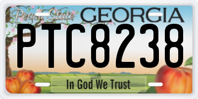 GA license plate PTC8238