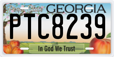 GA license plate PTC8239