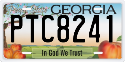 GA license plate PTC8241