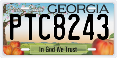 GA license plate PTC8243