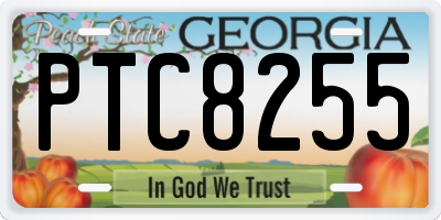 GA license plate PTC8255