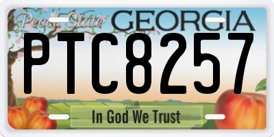 GA license plate PTC8257
