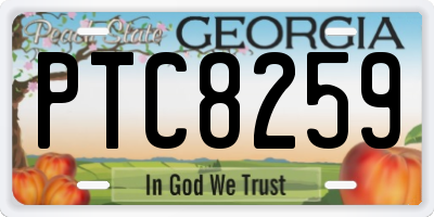 GA license plate PTC8259