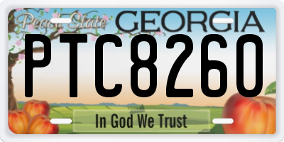 GA license plate PTC8260