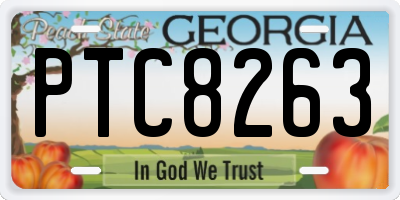 GA license plate PTC8263
