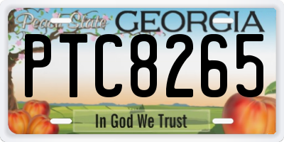 GA license plate PTC8265