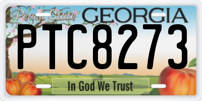 GA license plate PTC8273