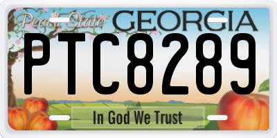 GA license plate PTC8289