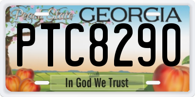 GA license plate PTC8290
