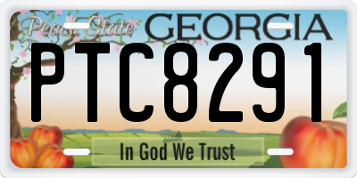 GA license plate PTC8291