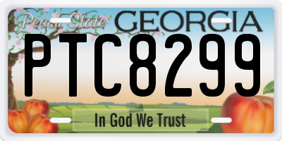 GA license plate PTC8299