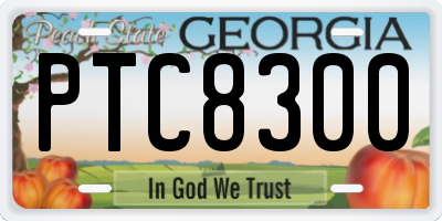 GA license plate PTC8300