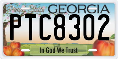 GA license plate PTC8302