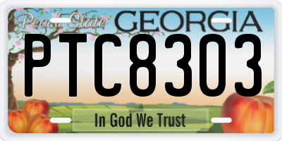 GA license plate PTC8303