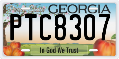 GA license plate PTC8307
