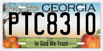 GA license plate PTC8310
