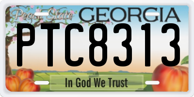 GA license plate PTC8313