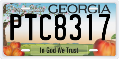 GA license plate PTC8317