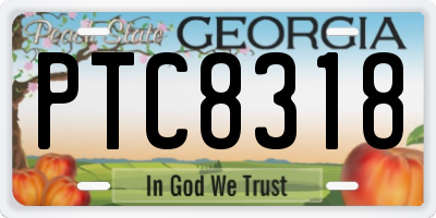 GA license plate PTC8318