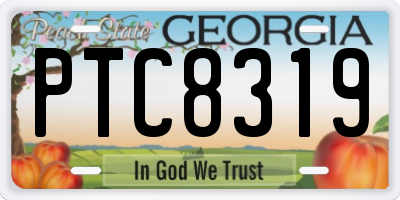 GA license plate PTC8319