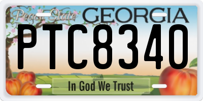 GA license plate PTC8340