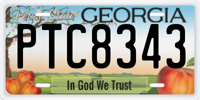 GA license plate PTC8343