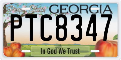 GA license plate PTC8347
