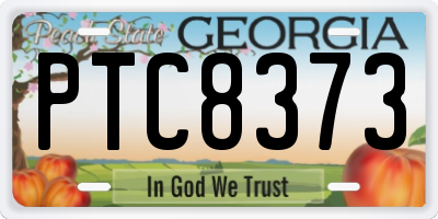 GA license plate PTC8373
