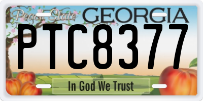 GA license plate PTC8377