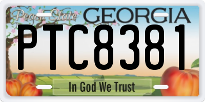 GA license plate PTC8381