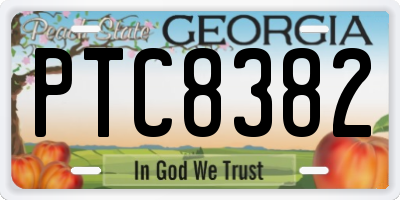 GA license plate PTC8382