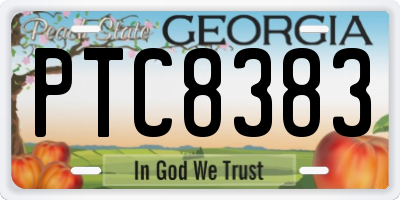 GA license plate PTC8383
