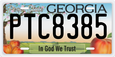 GA license plate PTC8385