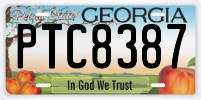 GA license plate PTC8387