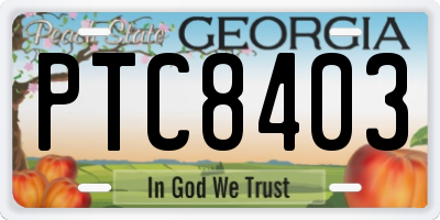 GA license plate PTC8403
