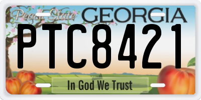 GA license plate PTC8421