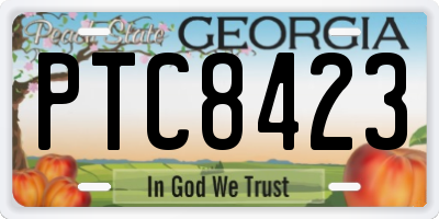 GA license plate PTC8423