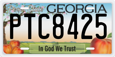 GA license plate PTC8425