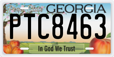 GA license plate PTC8463