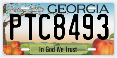 GA license plate PTC8493