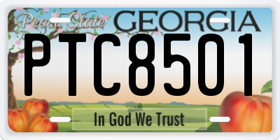 GA license plate PTC8501