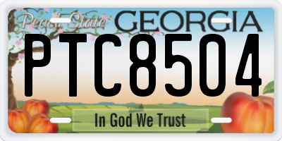 GA license plate PTC8504