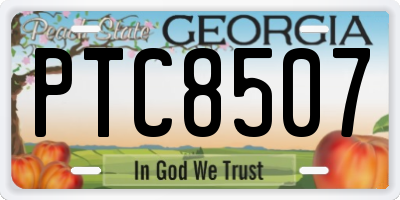 GA license plate PTC8507